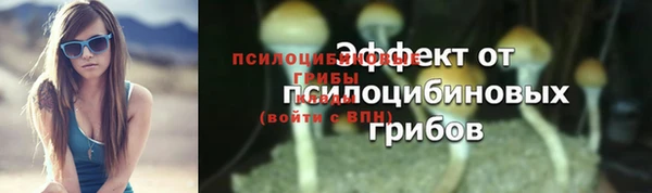 сатива Алексеевка