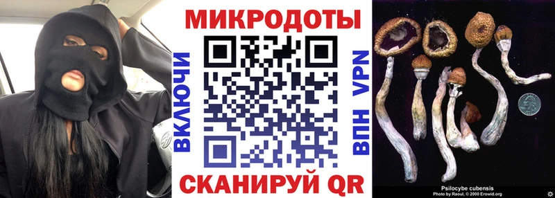 закладки  Петропавловск-Камчатский  Галлюциногенные грибы Cubensis 